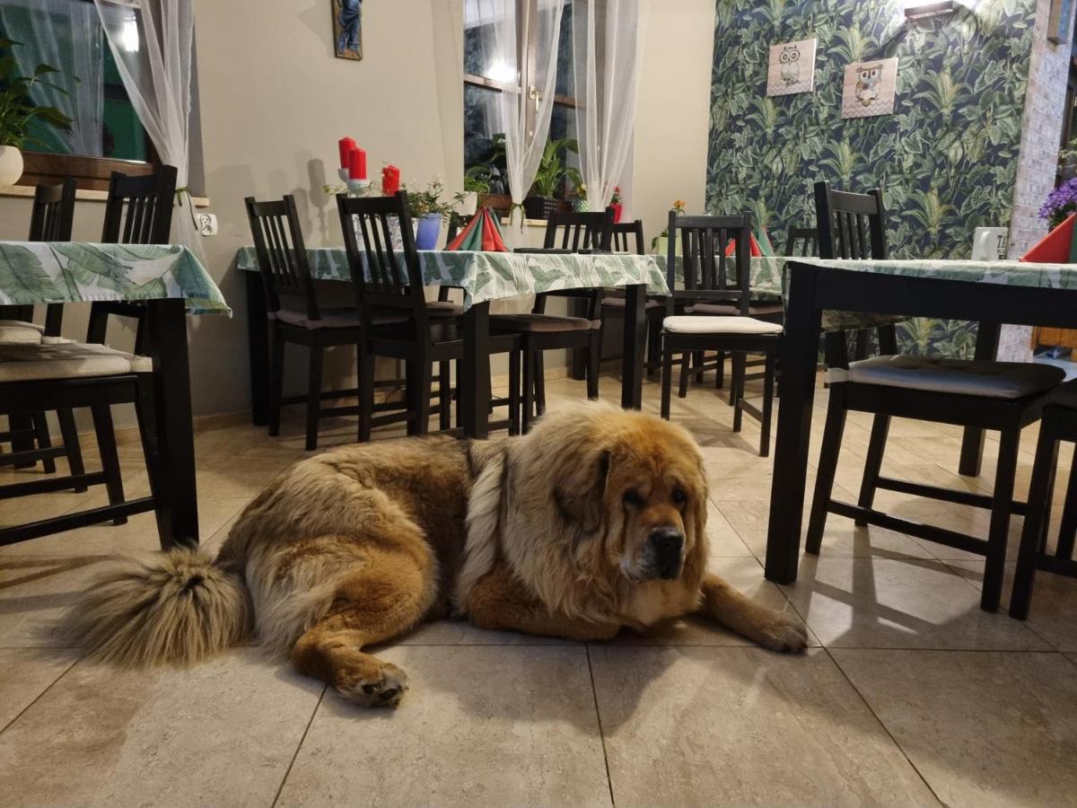 Dom Supelek Bed & Breakfast Дужники Здрой Екстериор снимка
